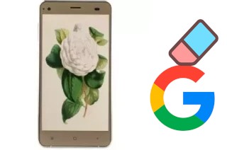 Come eliminare l'account Google su VC Camellia II