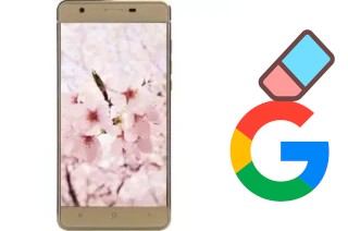 Come eliminare l'account Google su VC Sakura II