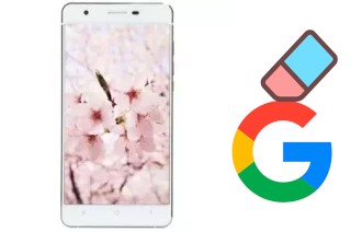 Come eliminare l'account Google su VC Sakura