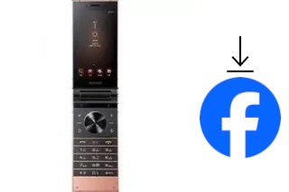 Come installare Facebook su un Samsung W2019