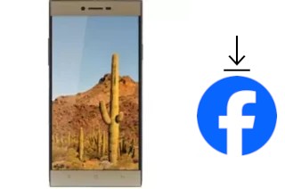 Come installare Facebook su un VC Cactus