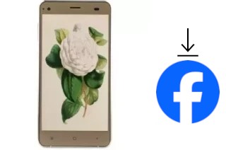 Come installare Facebook su un VC Camellia II