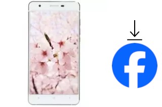 Come installare Facebook su un VC Sakura