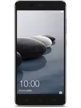 HiSense Small Dolphin 2