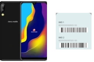 Come vedere il codice IMEI su Flare Y7 Pro