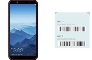 Come vedere il codice IMEI su F6003