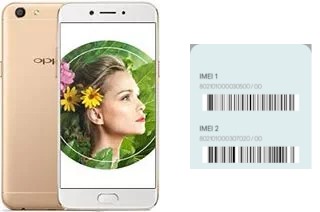 Come vedere il codice IMEI su A77 (Mediatek)