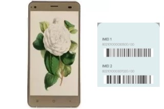 Come vedere il codice IMEI su Camellia