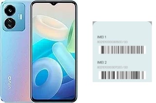 Come vedere il codice IMEI su vivo Y77