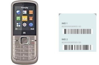 Come vedere il codice IMEI su R228 Dual SIM