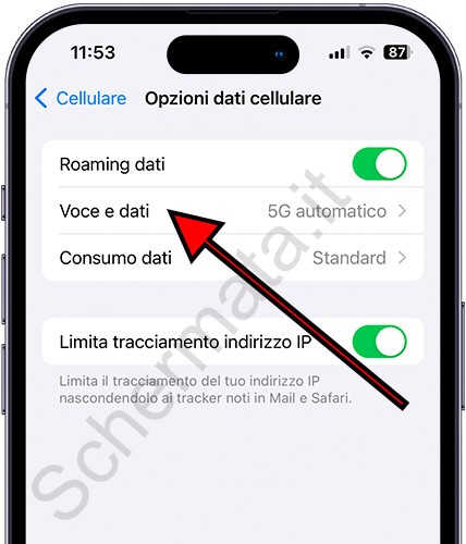 Voce e dati dell'iPhone