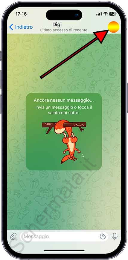 Chatta su Telegram su iPhone