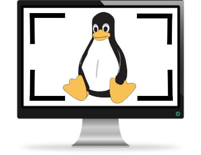 Schermata in Linux