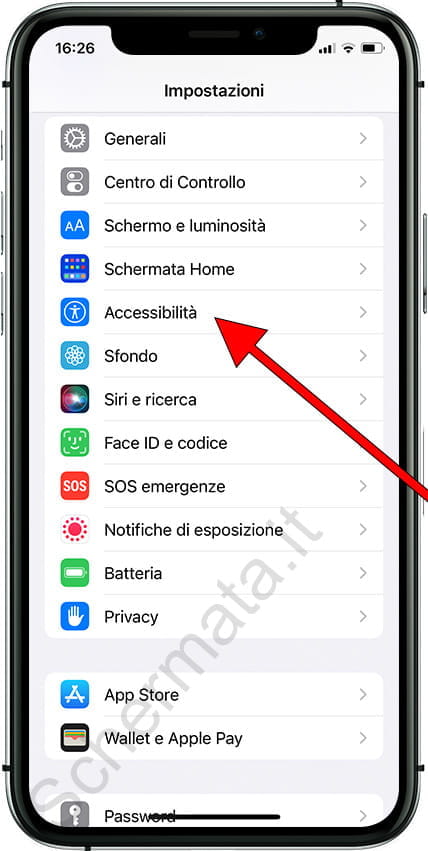 Accessibilità iPhone