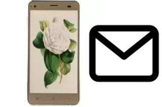 Configurare la posta elettronica su VC Camellia II