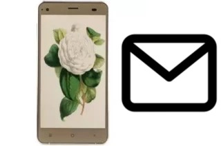 Configurare la posta elettronica su VC Camellia