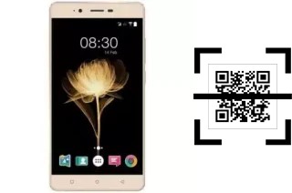 Come leggere i codici QR su un Accent Speed X2?