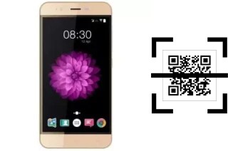 Come leggere i codici QR su un Accent Speed Y2?