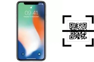 Come leggere i codici QR su un CCIT X Edition?