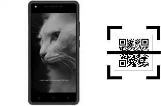 Come leggere i codici QR su un DEXP BL250?