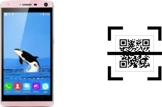 Come leggere i codici QR su un Landvo V11?