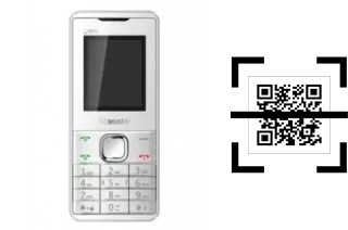 Come leggere i codici QR su un Masstel C105I?