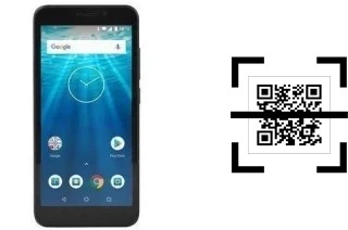 Come leggere i codici QR su un Qilive Q10?