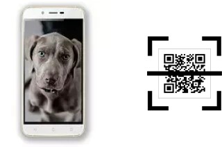 Come leggere i codici QR su un Siswoo A6 Vanilla?