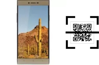 Come leggere i codici QR su un VC Cactus?