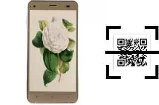 Come leggere i codici QR su un VC Camellia II?