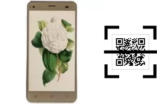 Come leggere i codici QR su un VC Camellia?