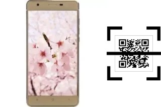 Come leggere i codici QR su un VC Sakura II?