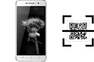 Come leggere i codici QR su un Viwa Power P1?