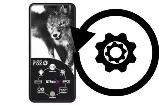 Come resettare o ripristinare a Black Fox B7