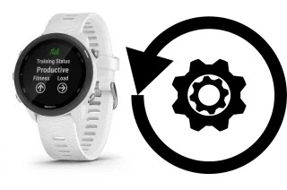 Come resettare o ripristinare a Garmin Forerunner 245 Music