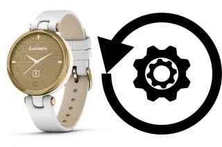 Come resettare o ripristinare a Garmin Lily