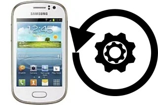 Come resettare o ripristinare a Samsung Galaxy Fame S6810