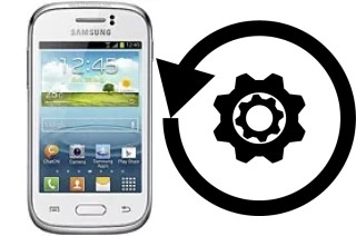 Come resettare o ripristinare a Samsung Galaxy Young S6310