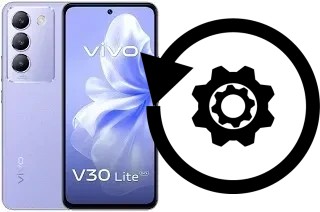 Come resettare o ripristinare a vivo V30 Lite (ME)