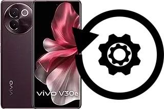 Come resettare o ripristinare a vivo V30e