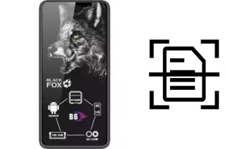 Come scannerizzare su un Black Fox B6