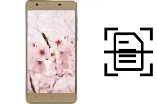 Come scannerizzare su un VC Sakura II