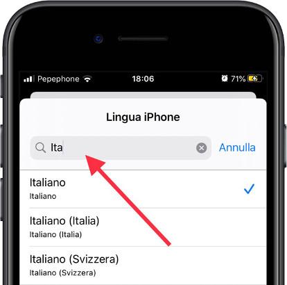 Cerca nella lingua iOS