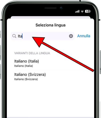 Cerca nella lingua iOS