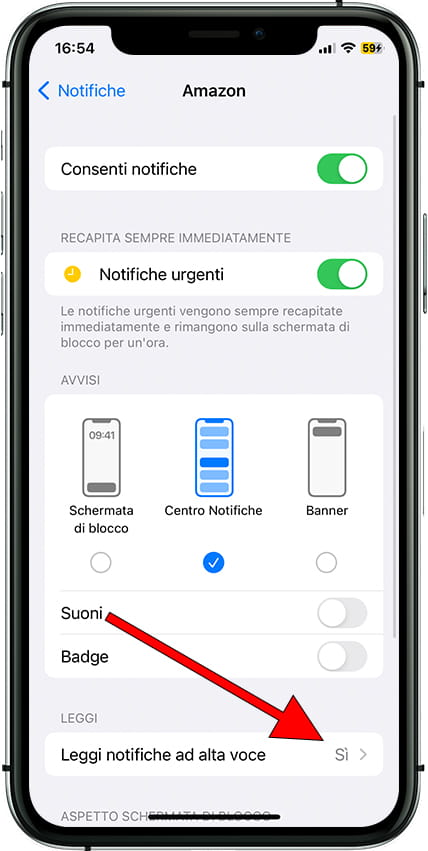 Anunciar notificaciones iOS