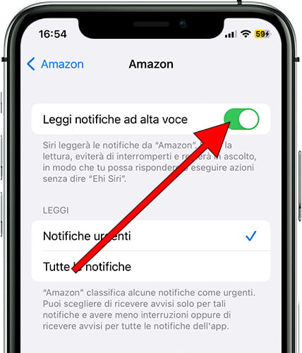 Activar anunciar notificaciones iOS