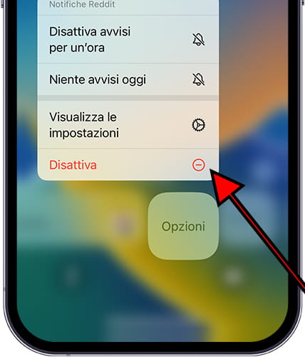 Disabilita la notifica iOS