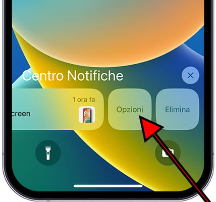 Opzioni di notifica iOS