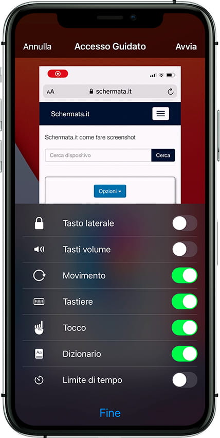 Opzioni di accesso guidato