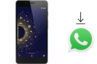 Come installare WhatsApp su 10.or D2